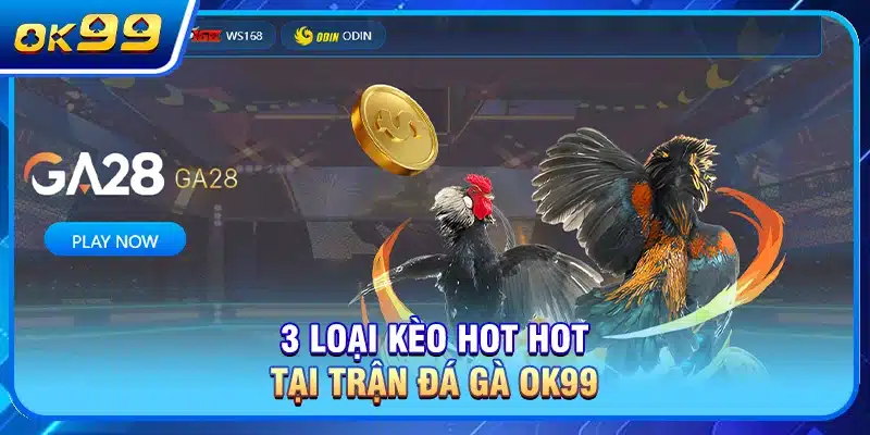3 loại kèo hot hot tại trận Đá Gà OK99