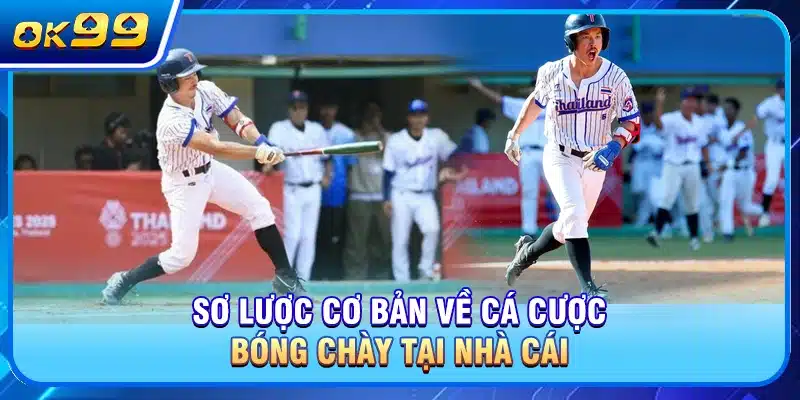 Sơ lược cơ bản về cá cược bóng chày tại nhà cái